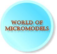 WorldofMicromodels